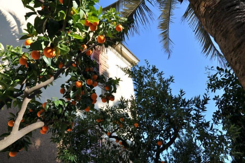 Hotel Lodi