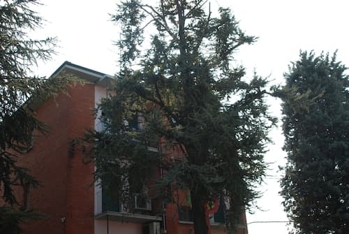Hotel Tuscolano