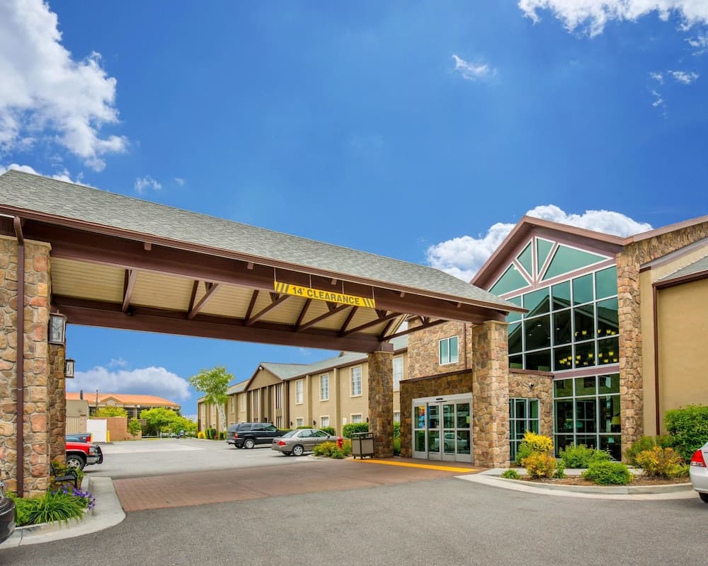 Comfort Inn Downtown