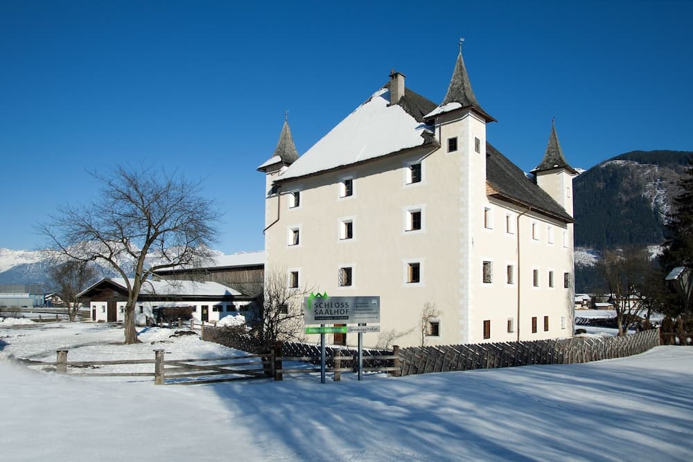 Schloss Saalhof