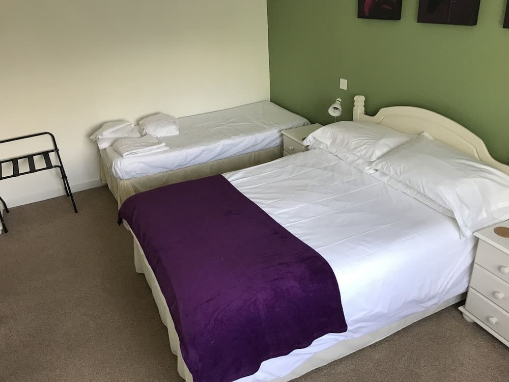 The Plume Of Feathers