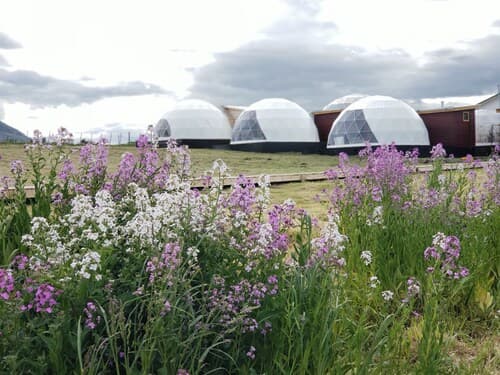 Garden Domes