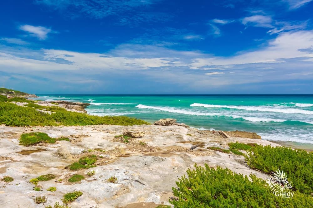 Konaklama yerinden manzara