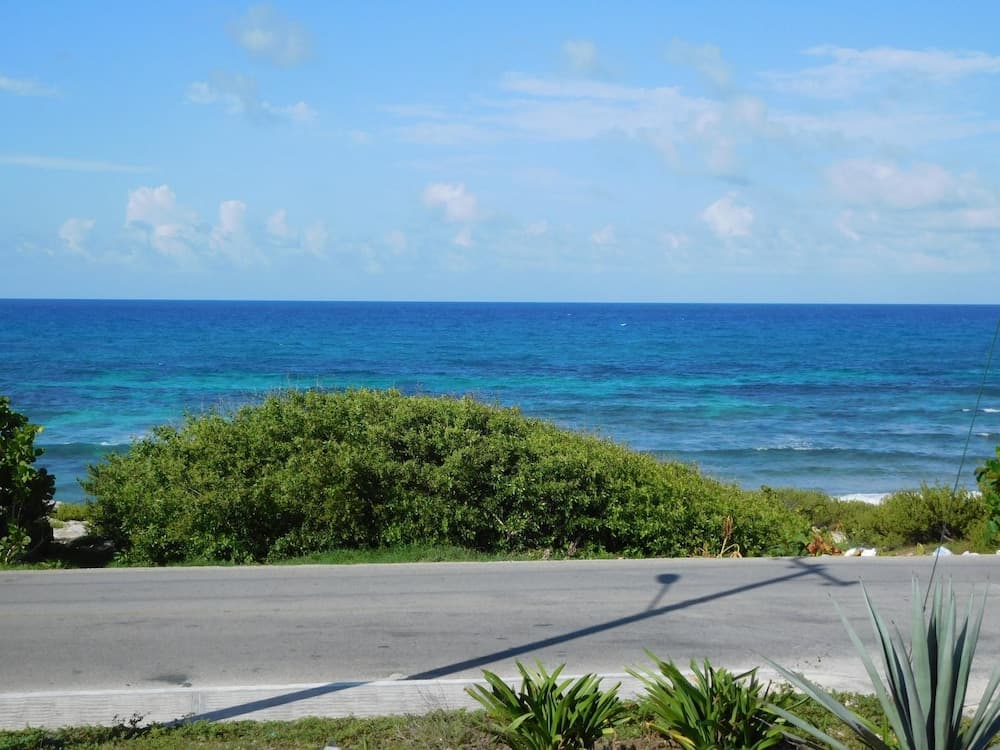 Plaj/okyanus manzarası