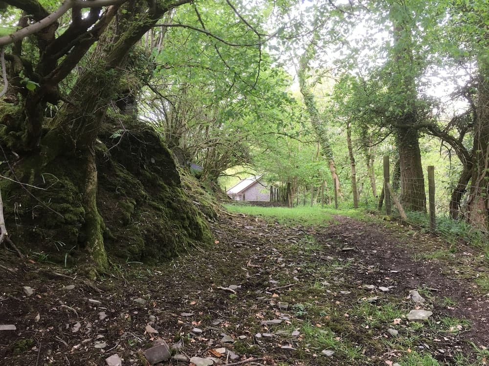 Konaklama yerinden manzara