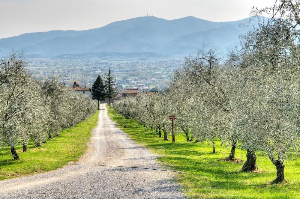 Agriturismo Il Borghetto