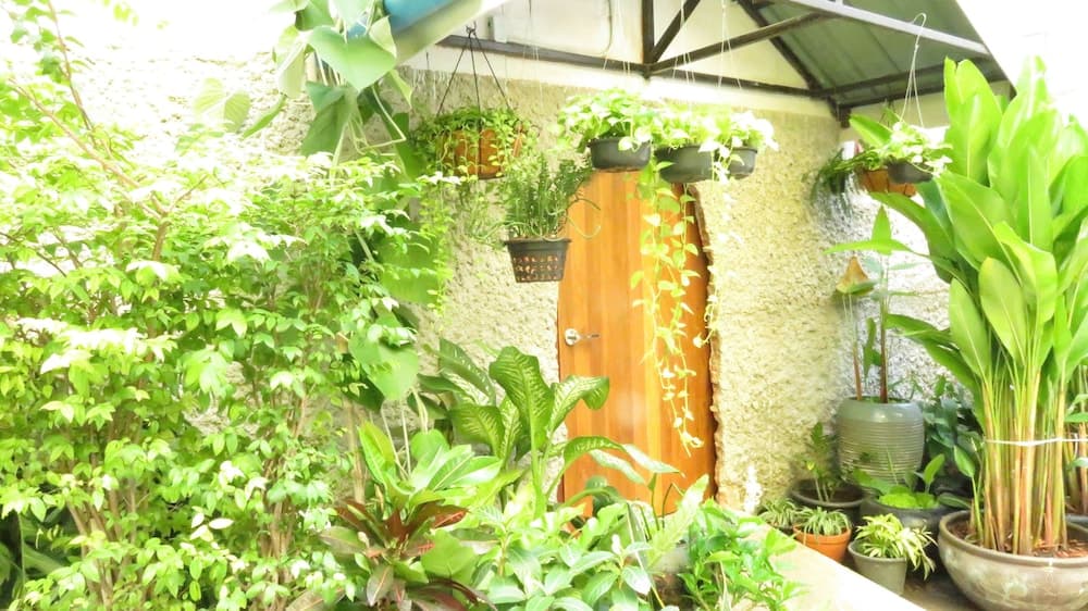 Baan 192 - Adults Only