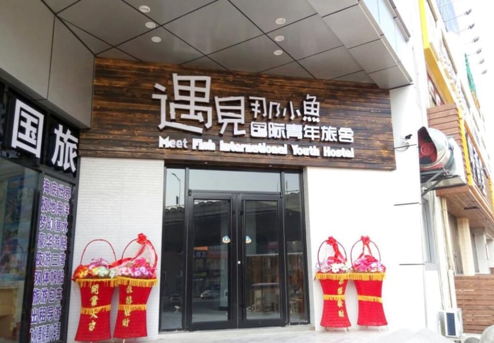 Meet Fish International Youth Hostel