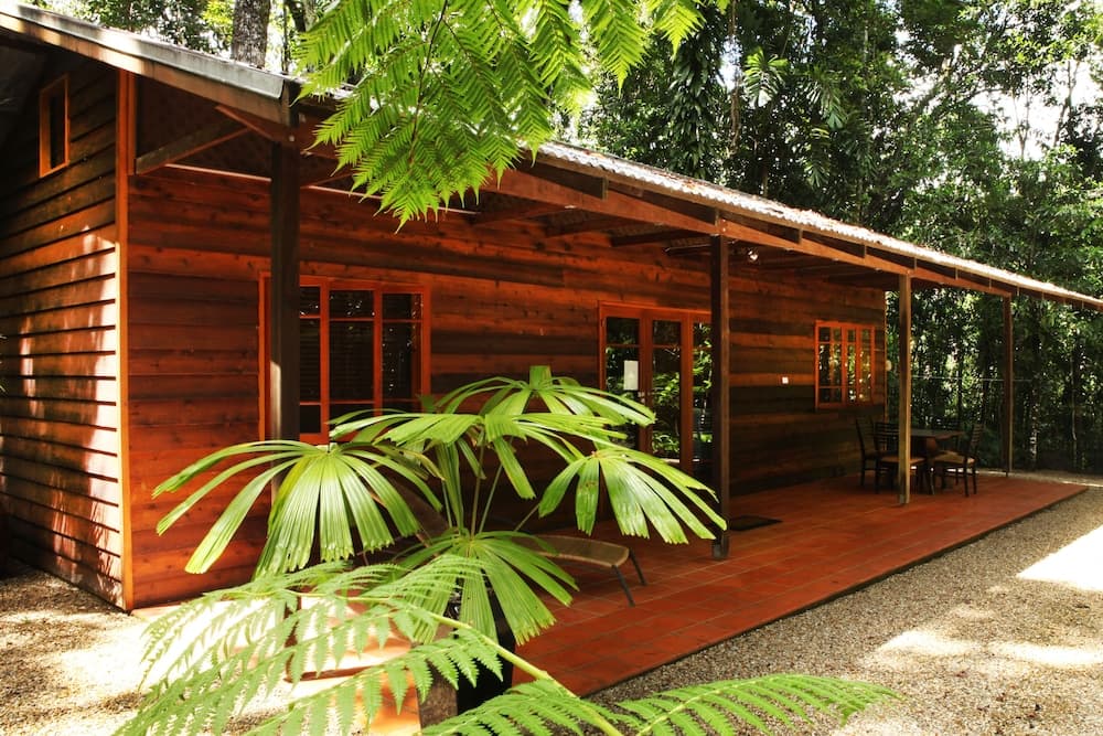 Daintree Cascades