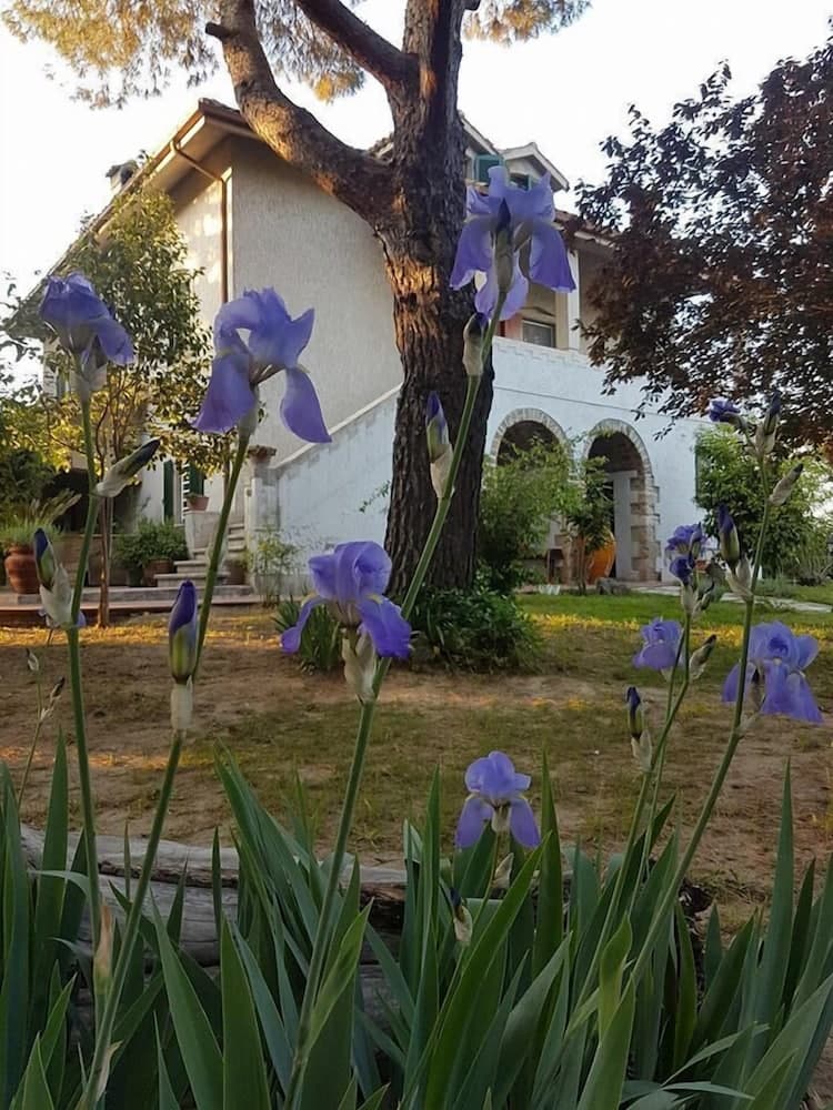 MeraVilla B&B