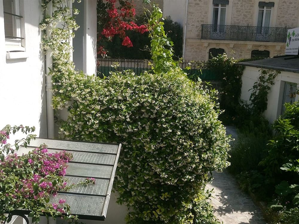 Le Clos Chez Michel