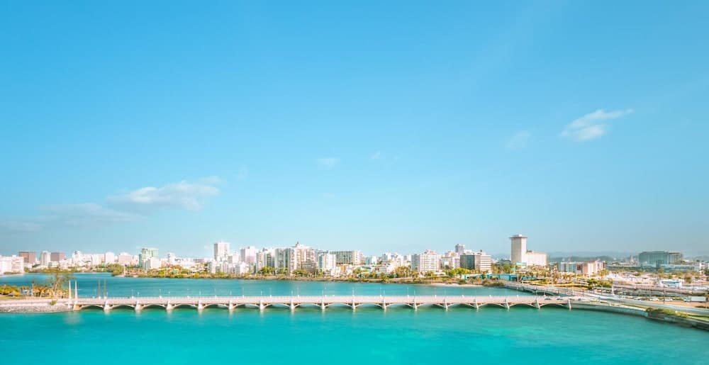 210 Sea Shell Studio