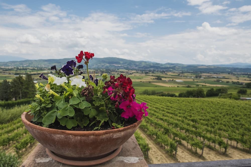 Agriturismo Chiorri