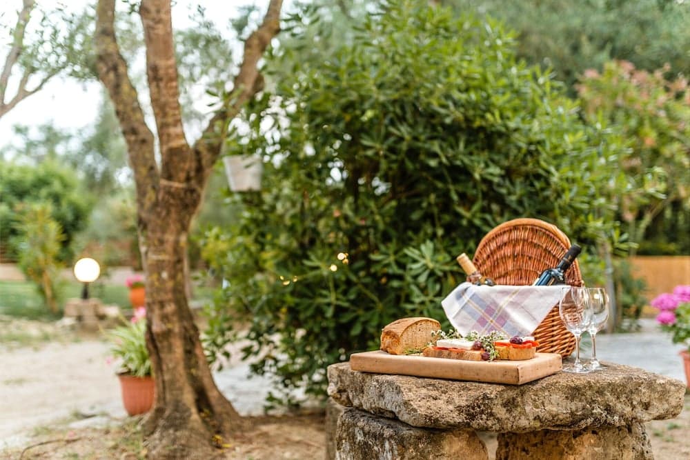 Barbekü/piknik alanı