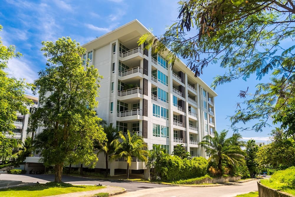 The Palm at Veloche by Lofty