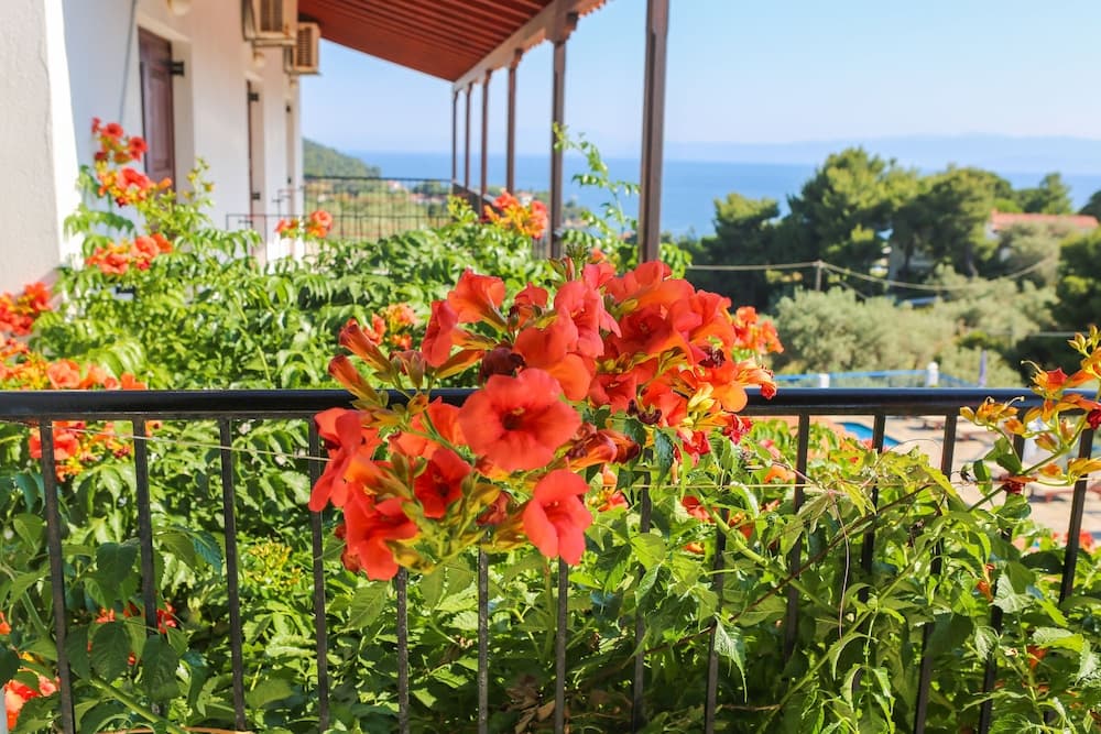 Dış mekân detayı