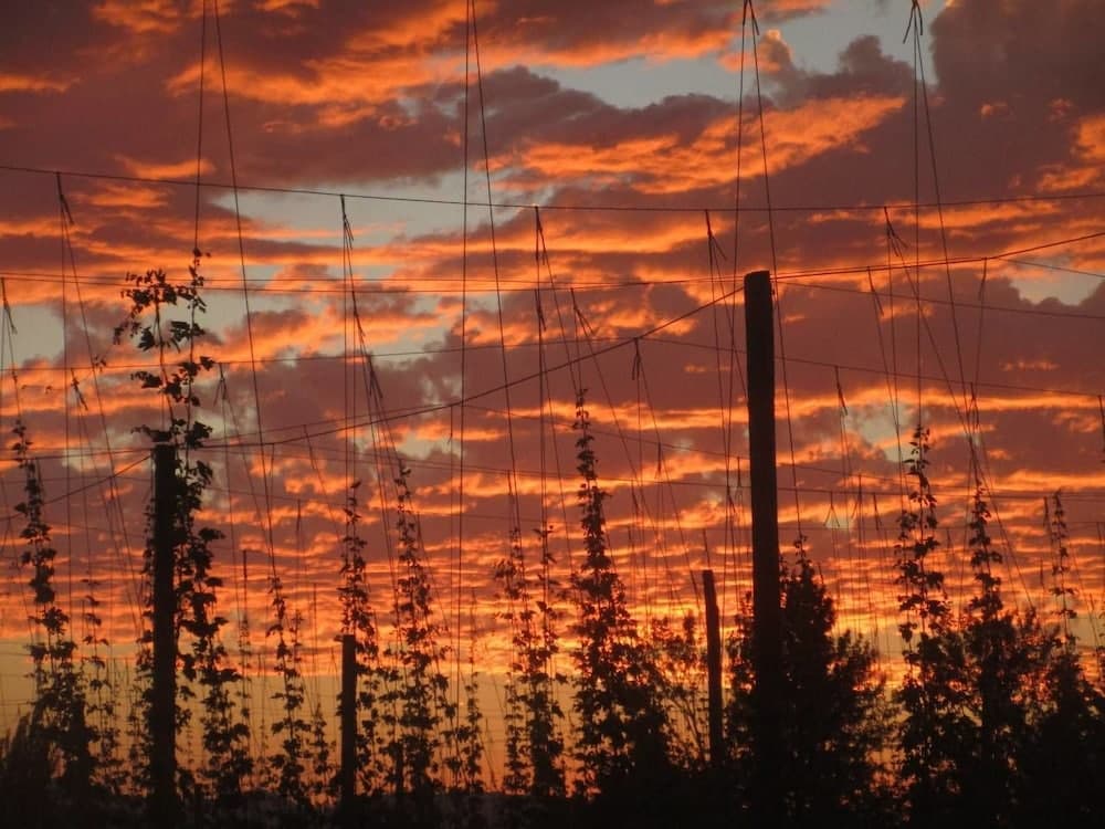 Hopyard View Farm - A Farm Experience in Ashland
