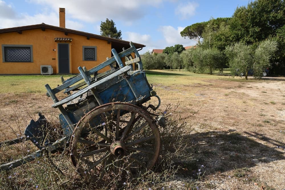 Vigna Di Valle