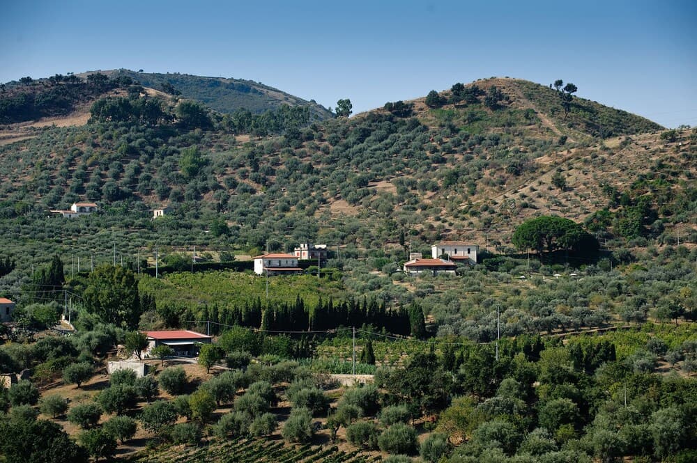 Konaklama yerinden manzara