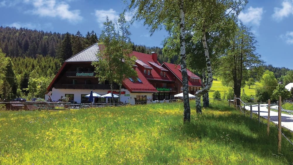 Pension & Restaurant Mühlencafe