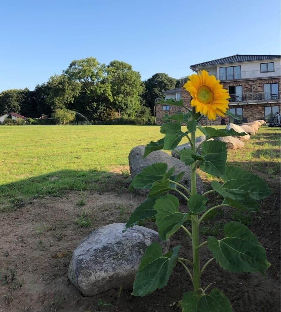 Dış mekân detayı