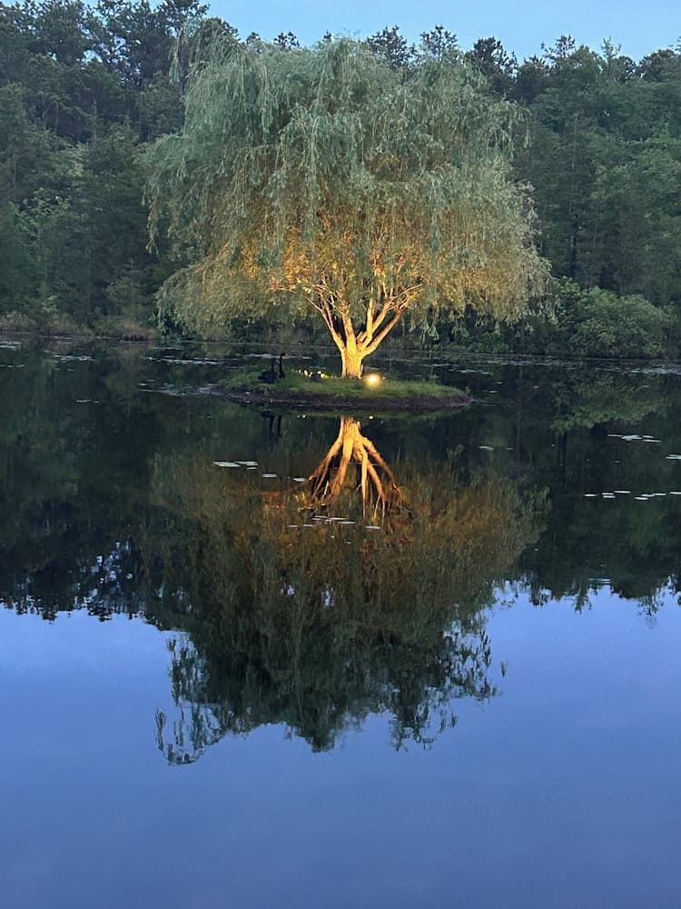 Swan Lake Resort Rentals