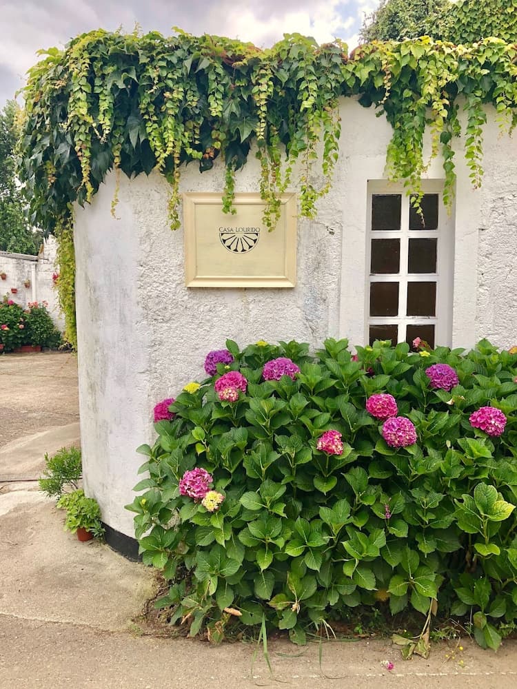 Casa Lourido