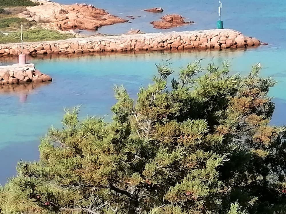 Aria di Vacanza - Corallina