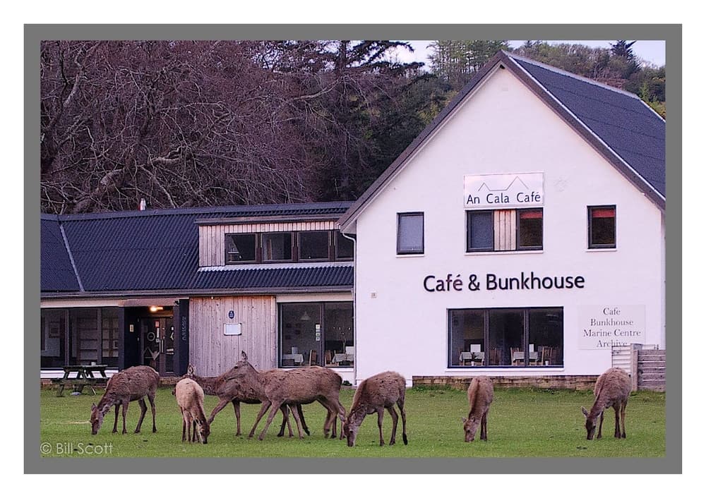 An Cala Cafe and Bunkhouse - Hostel