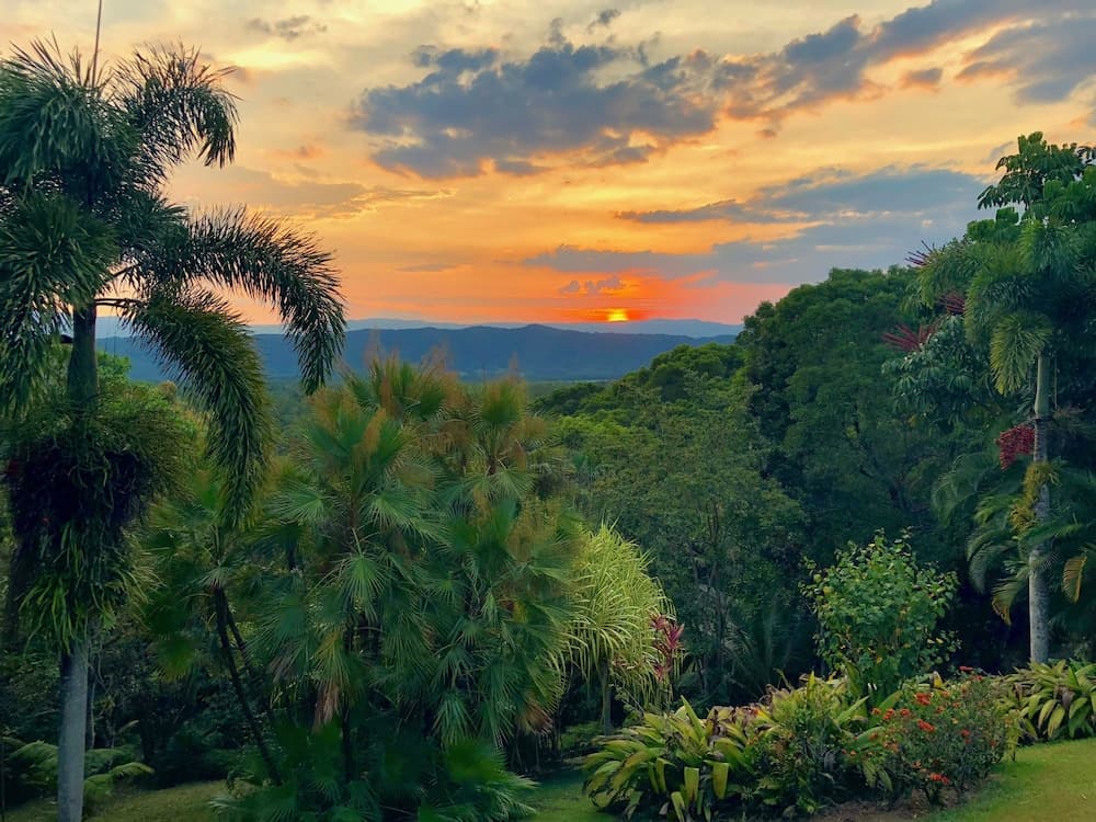 Daintree Manor Bed & Breakfast