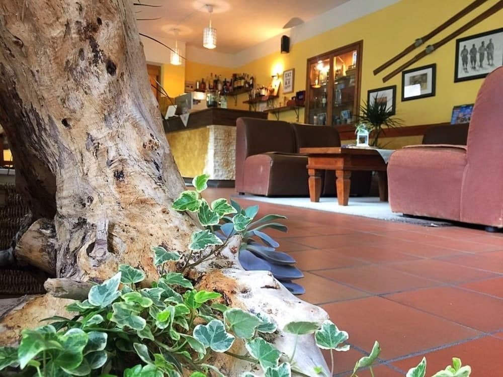 Bar (konaklama yerinde)