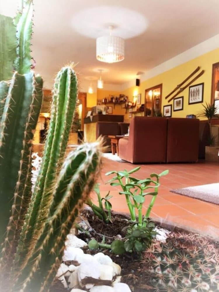 Bar (konaklama yerinde)