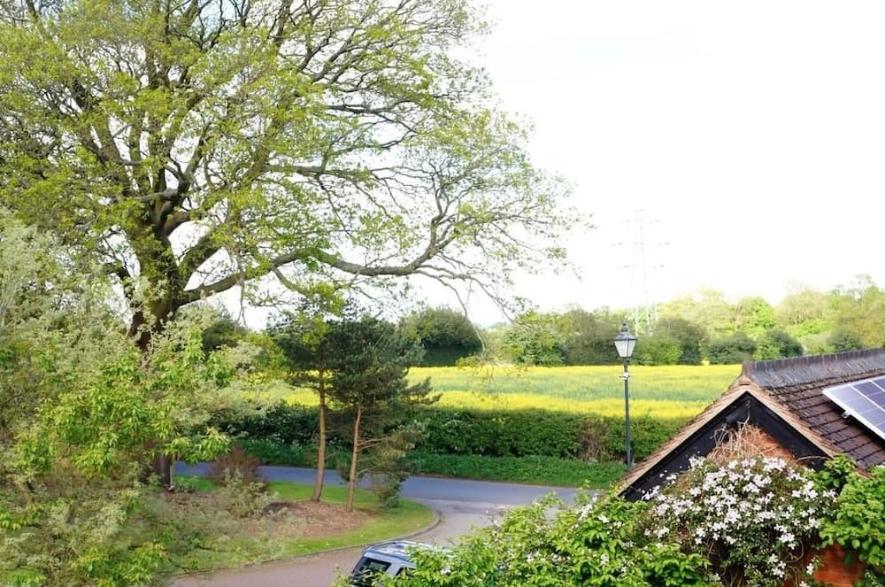 Konaklama yerinden arazi manzarası