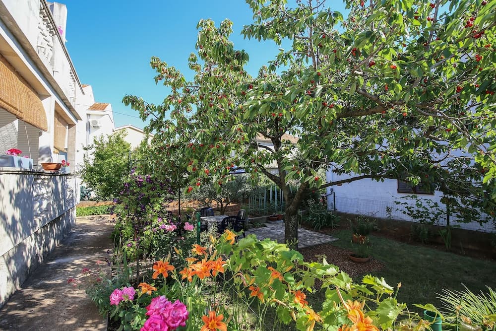 Apartments and Room Thea