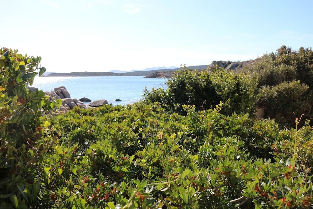 Konaklama yerinden manzara