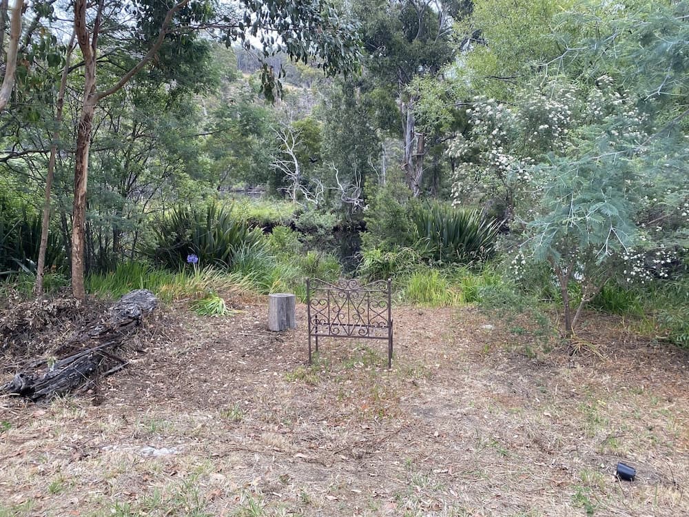 Balık tutma