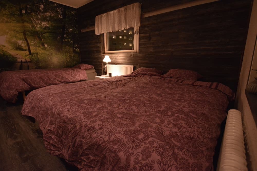 Nordic Borealis House