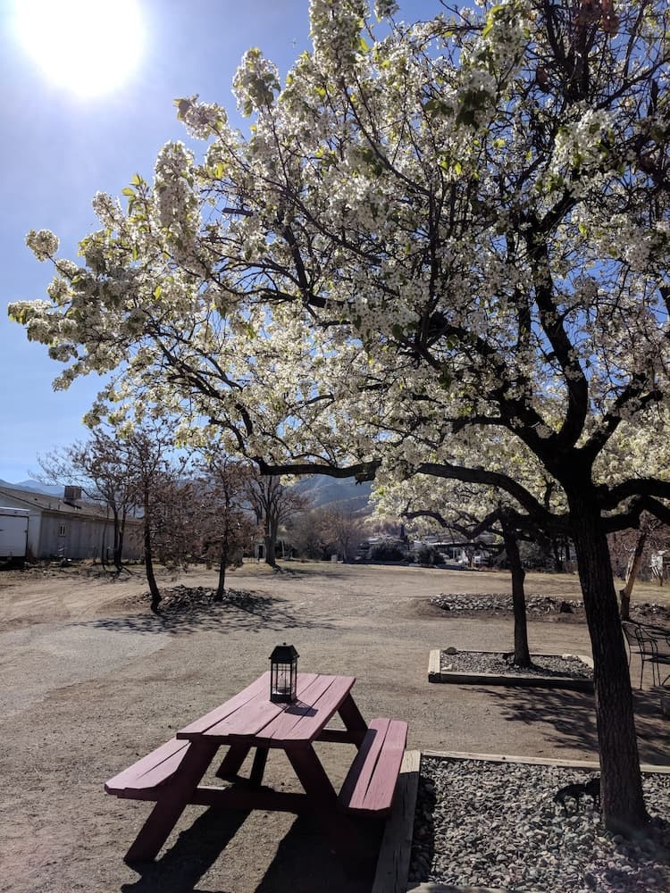 Barbekü/piknik alanı