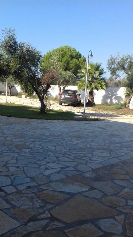 Avlu