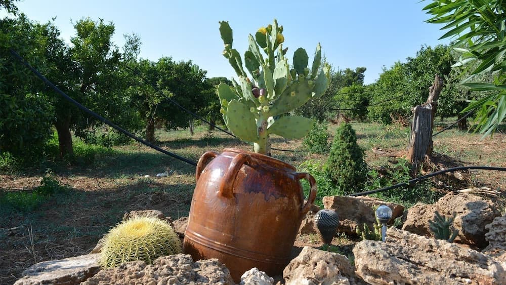 Bahçe