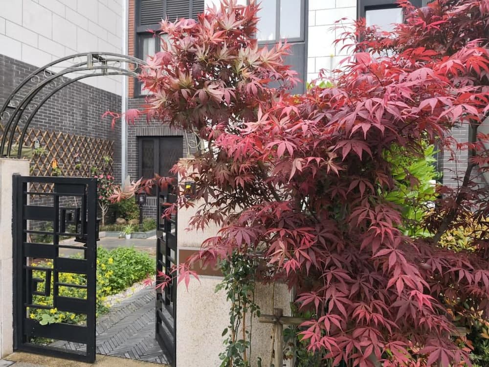 Suzhou Taihu Meilanju House