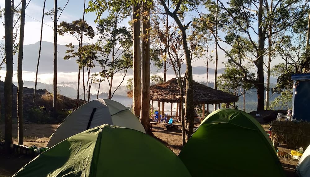 Munnar Jungle Camp