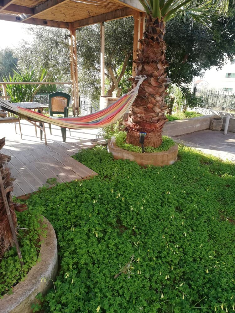 Barbekü/piknik alanı