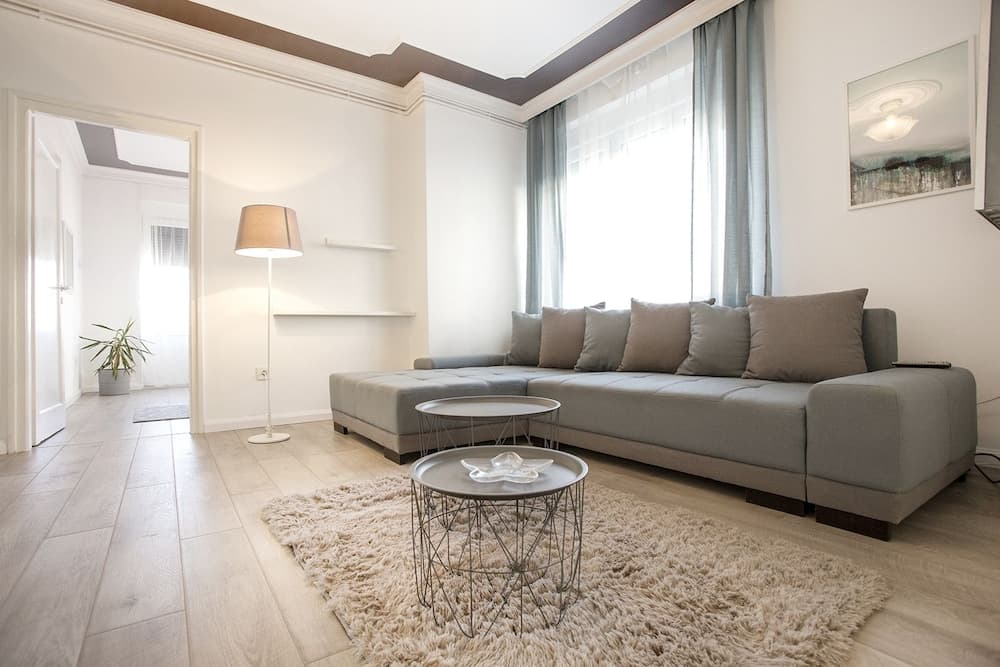 Central New Apartment