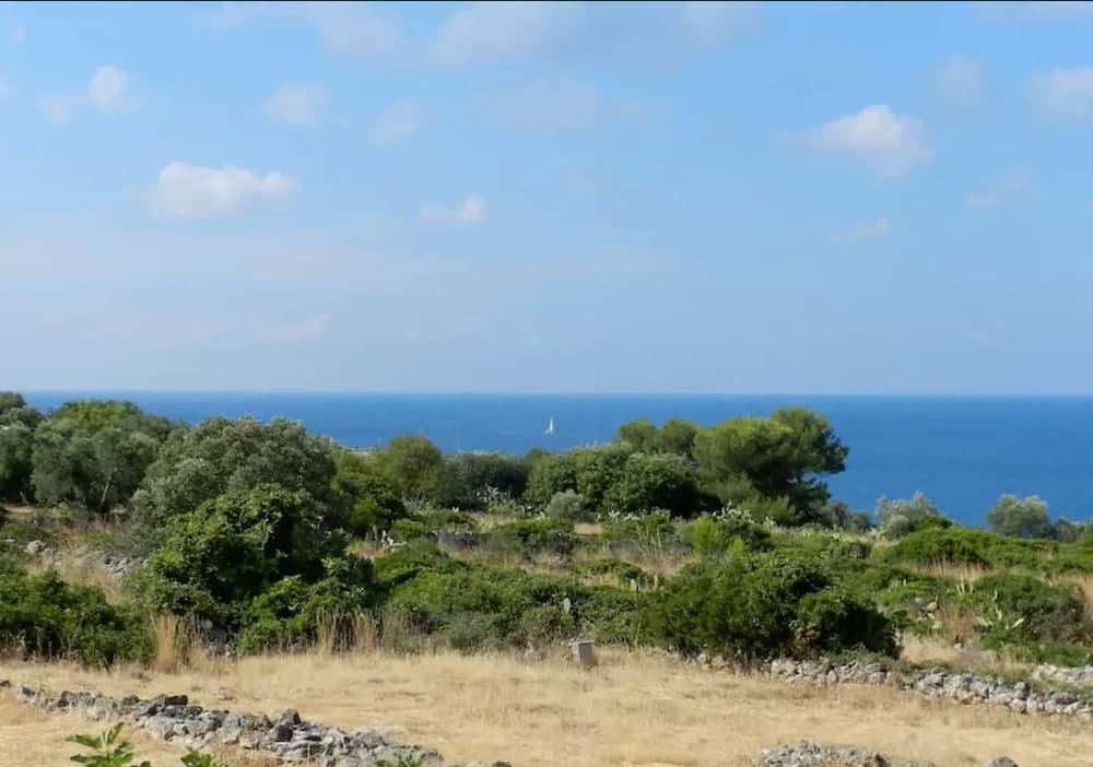 Odadan manzara