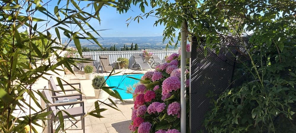La Belle Vie