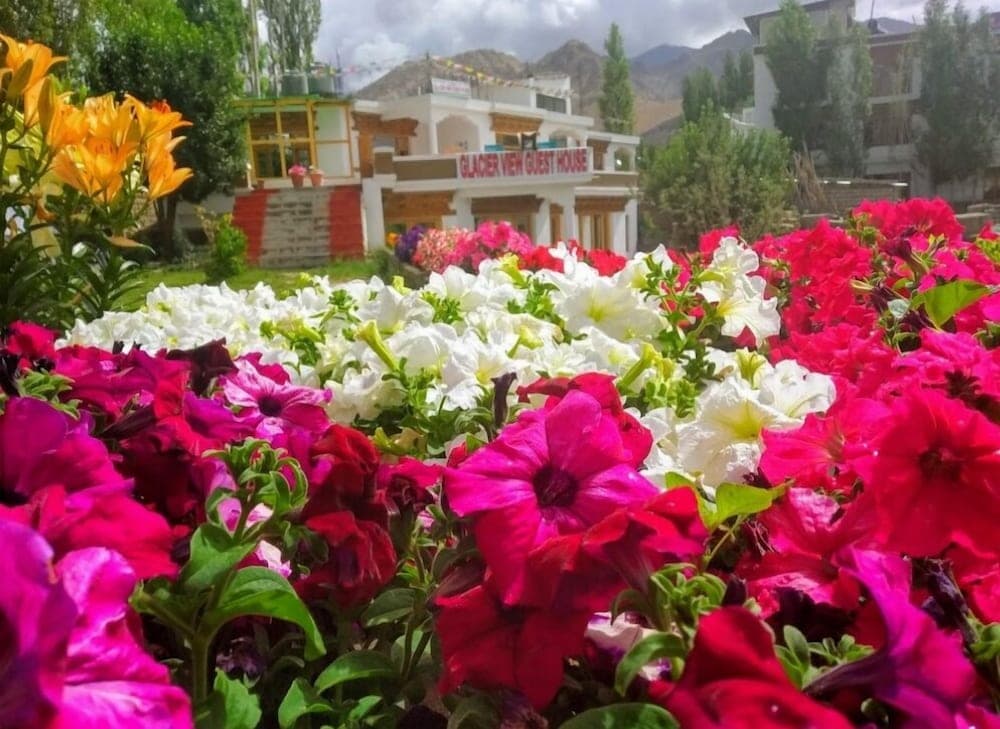 Glacier View Guest House