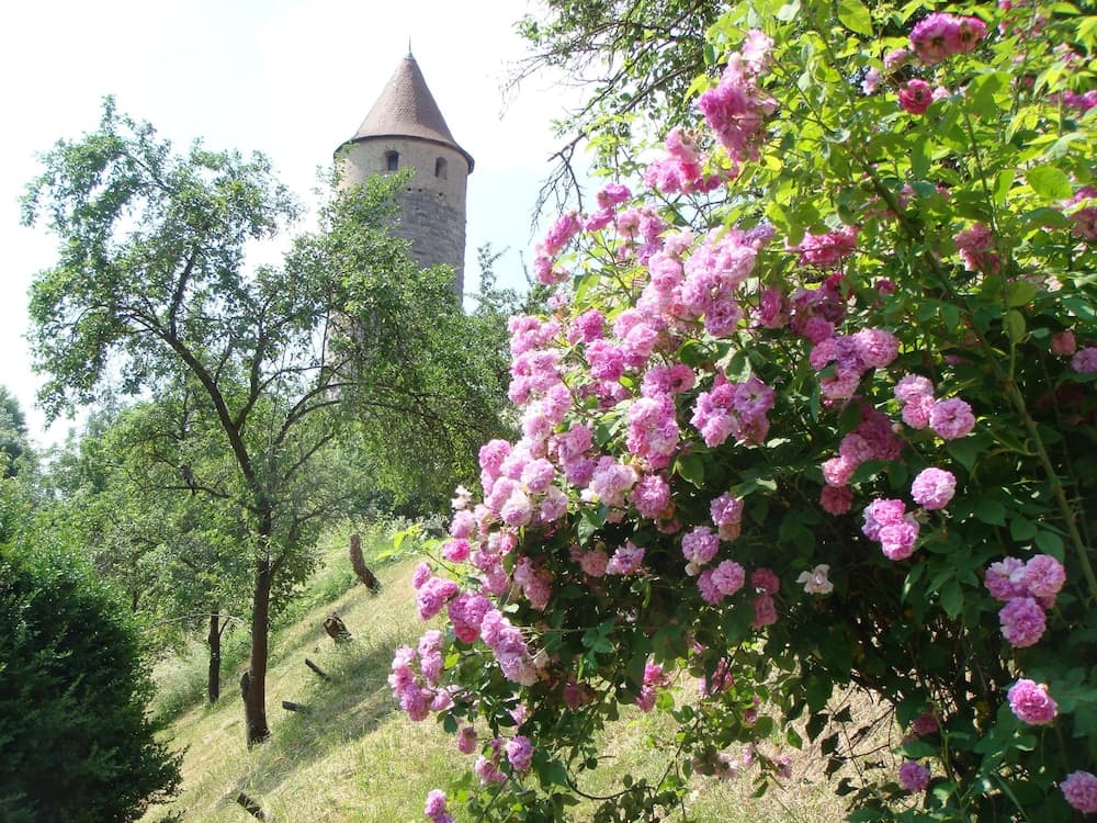 Weingut Gästehaus Weigand