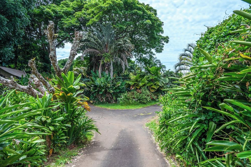 Gingerhill Farm Retreat