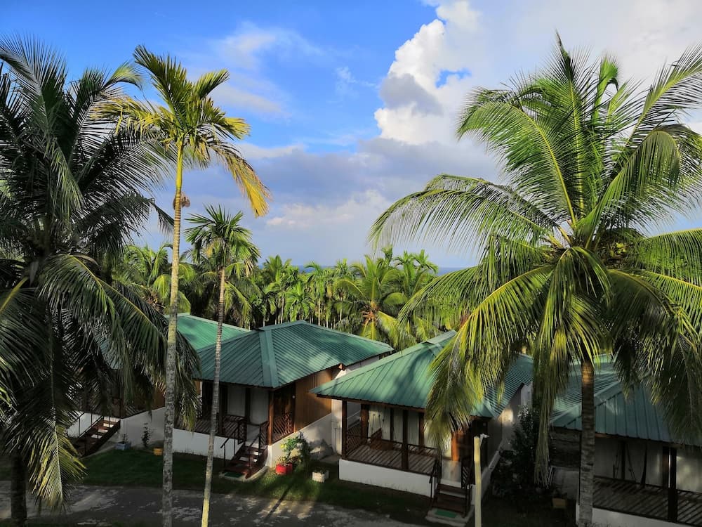 Rainforest Resort